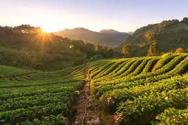 Curso de Agricultura Ecológica