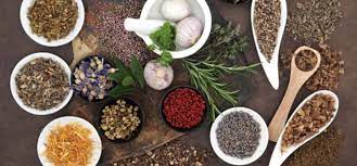 Curso de Fitoterapia en Pontevedra