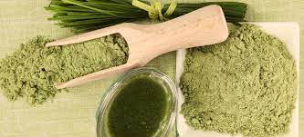 Curso de Herbodiétetica